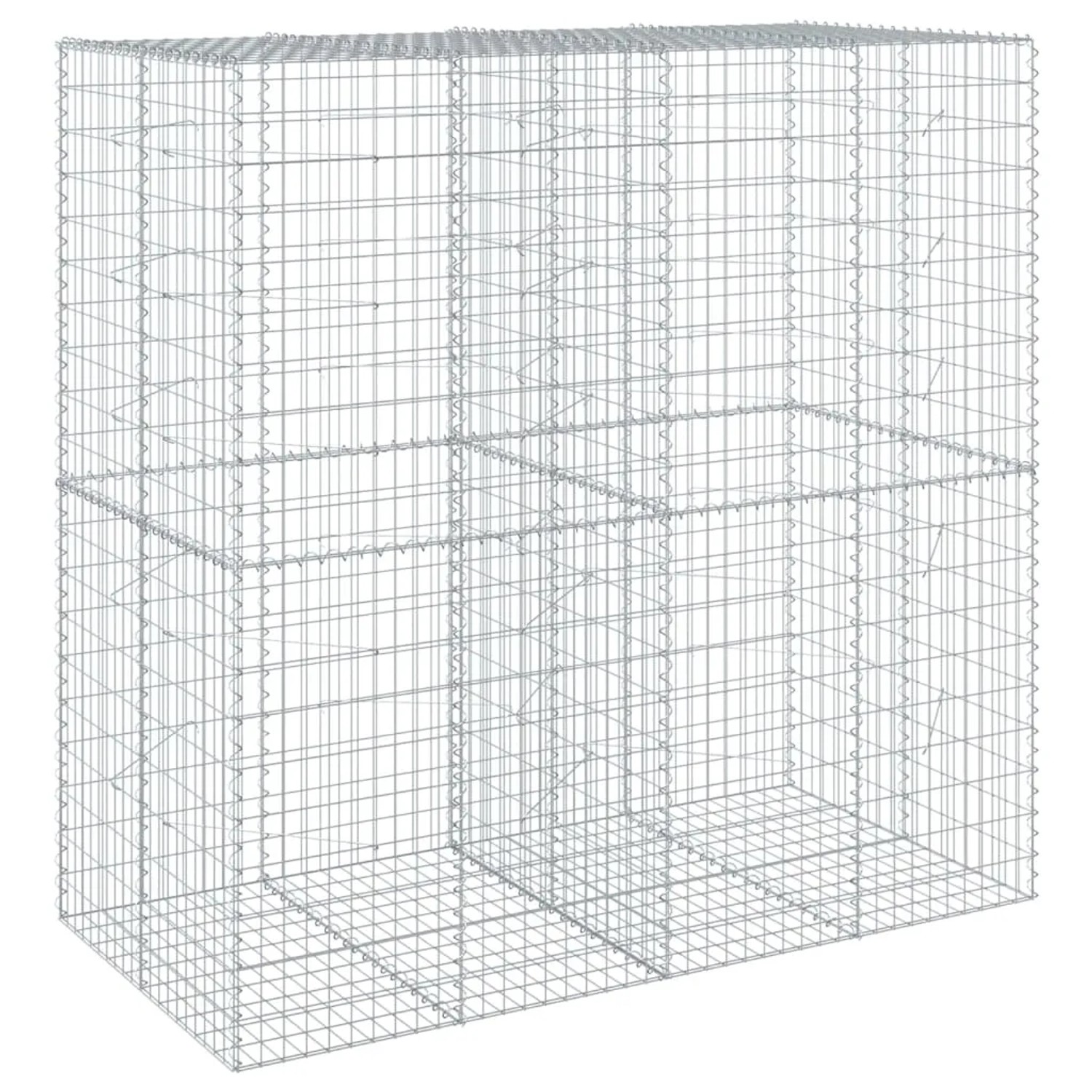 vidaXL Gabione mit Deckel 200x100x200 cm Eisen 2144933