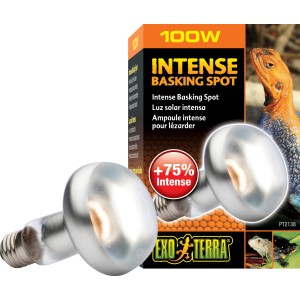 Exo Terra Intense Basking Spot 100W Wärmelampe für Reptilien, mit Verpackung.
