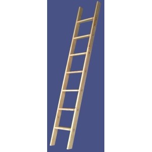 Holzleiter mit Hartholzstufen, 19 Stufen, 5 m Länge, ideal für Regale und Bibliotheken.