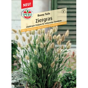 Sperli Saatgut Ziergras Bunny Tails