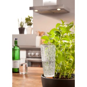 Scheurich Bewässerungsfigur Copa M, transparent, 150ml, im Einsatz in einem Blumentopf.