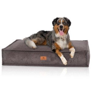 Braungraues Knuffelwuff Hundekissen Lesedi Cord (80x60cm) mit Hund.