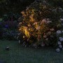 Paulmann LED-Gartenspot Kikolo, anthrazit, beleuchtet Busch im Garten. Teil des Plug & Shine Außenbeleuchtungssystems.
