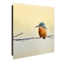 Banjado Schlüsselkasten mit Glasfront, 30x30cm, Motiv Eisvogel auf Ast, Magnettafel, beschreibbar.
