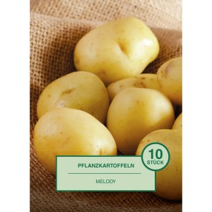 Pflanzkartoffel Melody 10 Stück