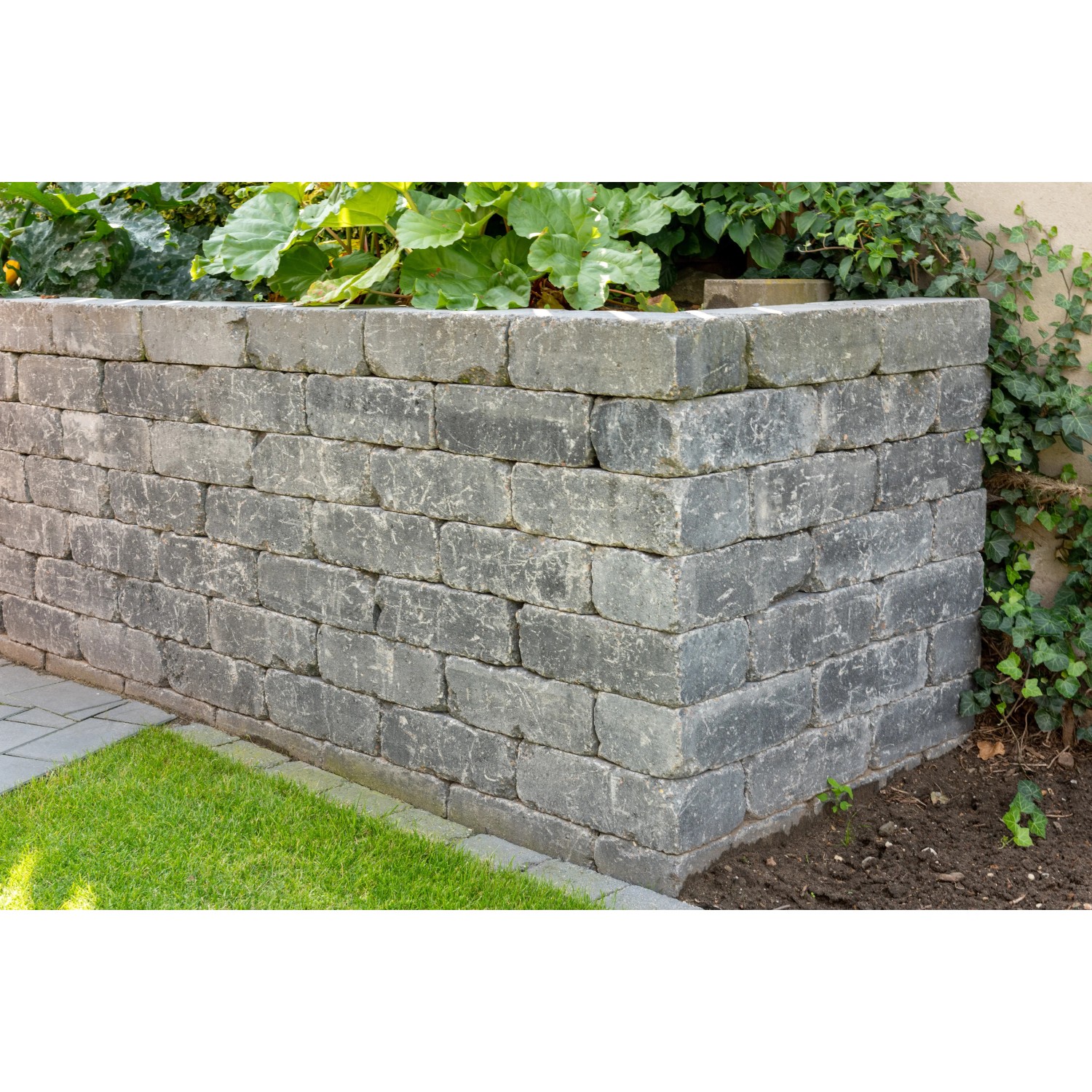 Diephaus Mauerstein Collo Basalt, graue Gartenmauer aus Steinen (42x21x14 cm).