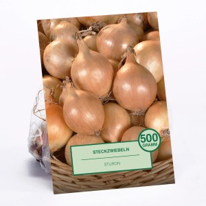 Steckzwiebeln Sturon, 500g, im Korb. Ideal zum Pflanzen im Garten.