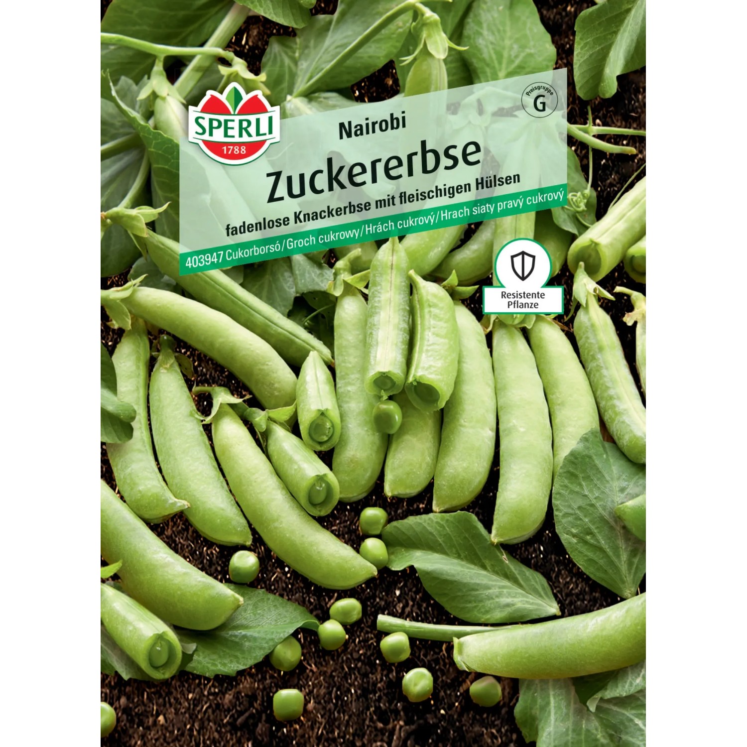 Sperli Zuckererbse "Nairobi"