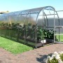 Klasika Slim Gewächshaus 12m² mit Polycarbonatabdeckung, Tür geöffnet.