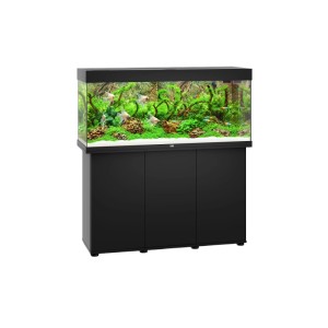 Schwarzes Juwel LED Aquarium Rio 240 mit Unterschrank, befüllt mit Fischen und Pflanzen.
