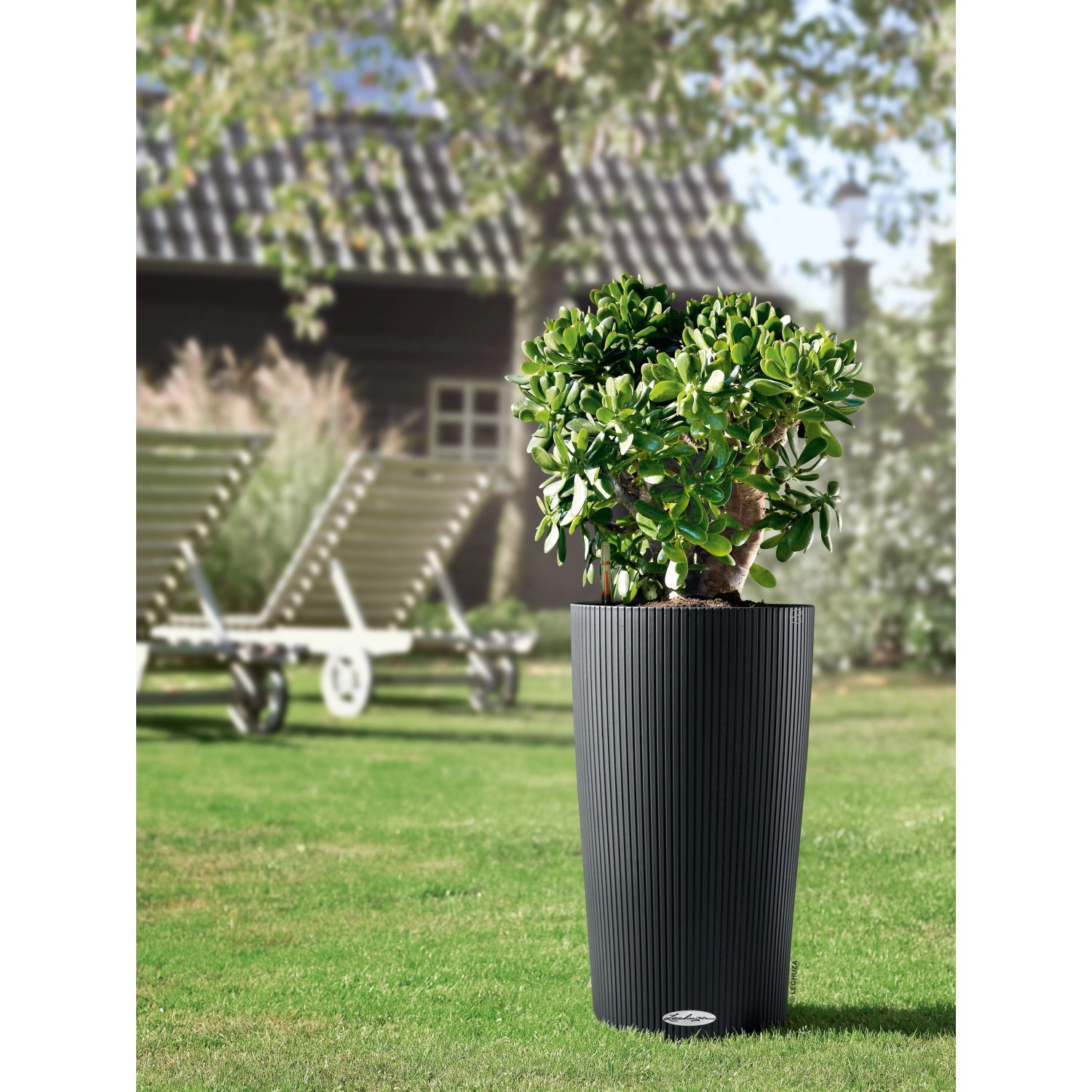 Schiefergraues Lechuza Cilindro Color Pflanzgefäß (Ø 23 cm) mit Pflanze im Garten.