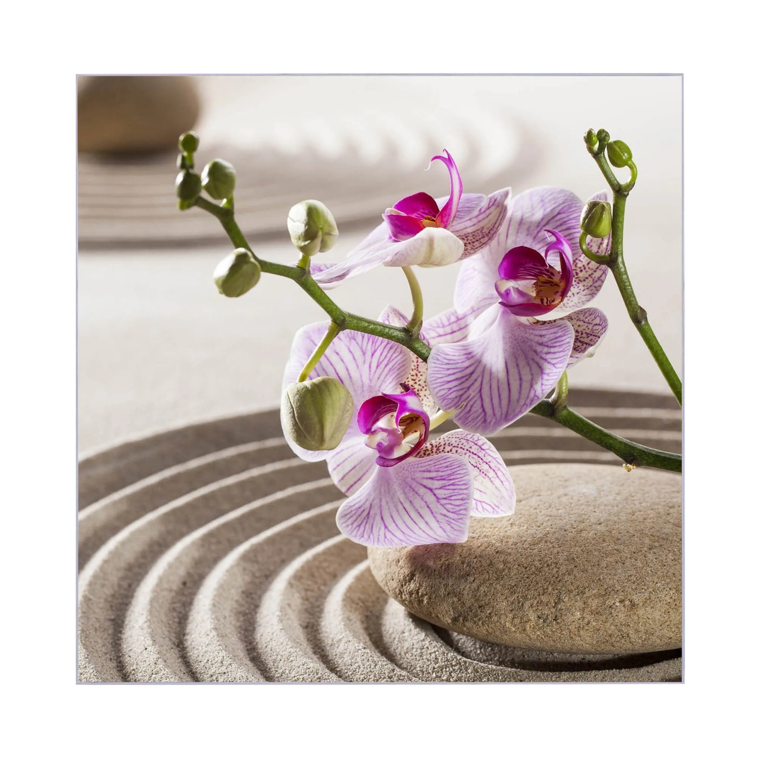 Motiv Zen Relax auf Glas-Schlüsselkasten (30x30cm): Orchidee und Stein im Sandgarten.