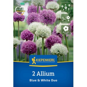 Kiepenkerl Allium Mix Blue & White, Zierlauch Blumenzwiebeln, violett und weiß.