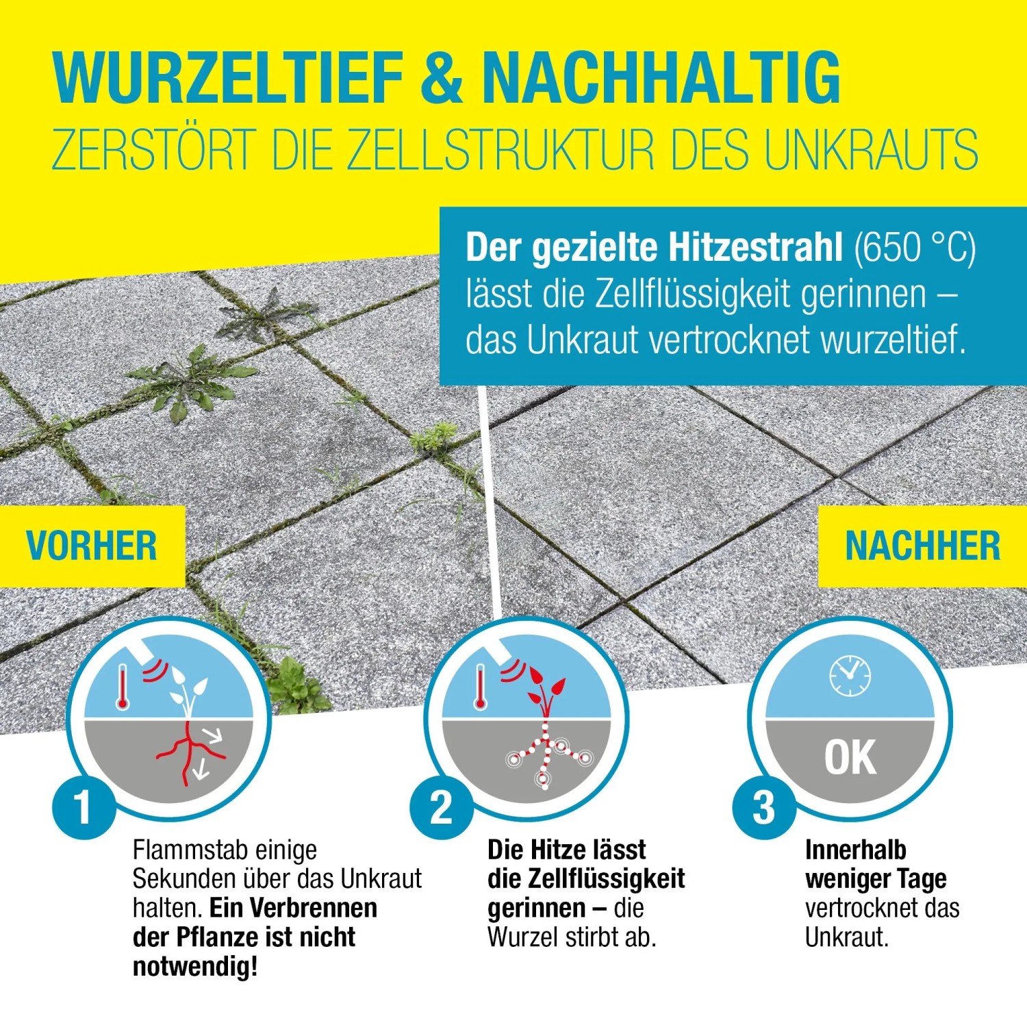 Unkrautbeseitigung mit Gloria Thermoflamm Bio Electro: Vorher-Nachher-Effekt der Unkrautentfernung mit Hitze.