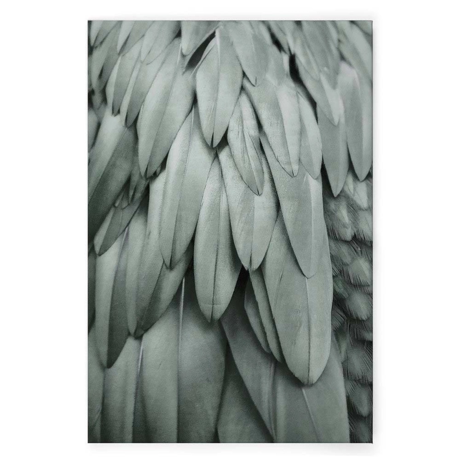 Bricoflor Wandbild Salbeigrün Leinwandbild Mit Federn Grau Grün Für Schlafzimmer Und Badezimmer Leinwand Vogel In 60 X 9