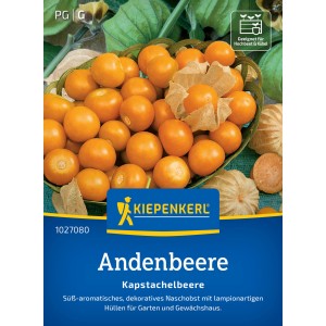 Kiepenkerl Andenbeere Kapstachelbeere in Schale, orange Früchte mit Lampionhülle.