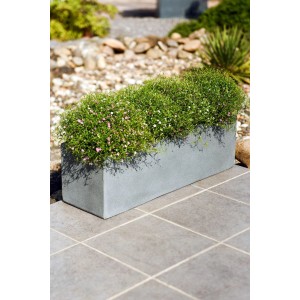 Grauer Vivanno Blumenkasten Flobo 60 cm mit Bepflanzung im Außenbereich.