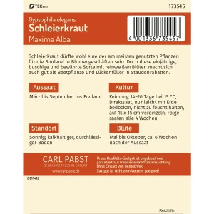Pabst Keimkraft Schleierkraut Maxima Alba Saatgut Packung