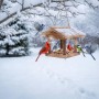 Geflammtes Vogelfutterhaus aus Tannenholz mit Vögeln im Winter, zum Aufhängen.