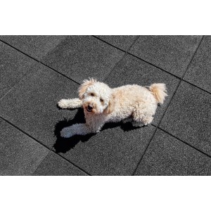 Schwarze Terrasoft Fallschutzplatten (5 m²) mit Hund.