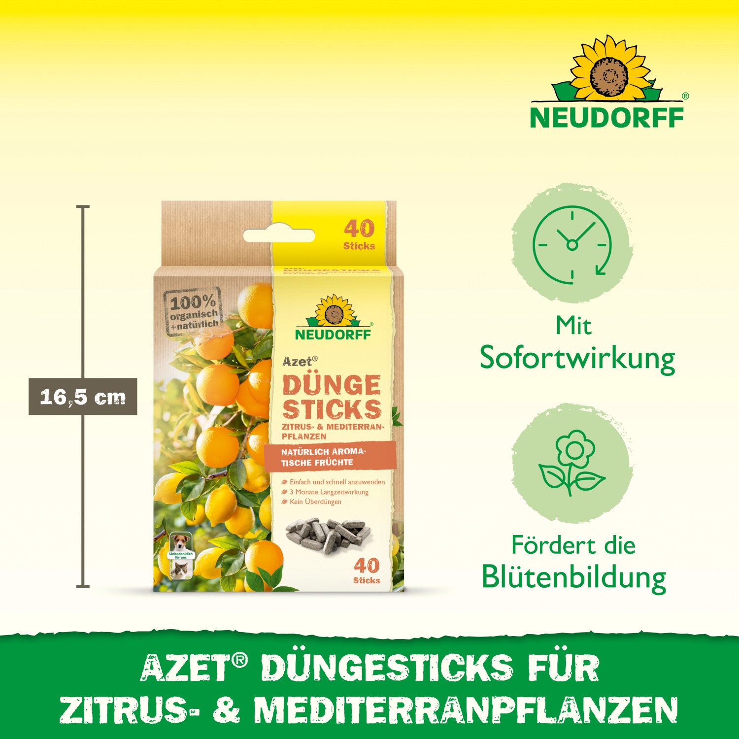 Neudorff Azet Düngesticks für Zitrus- und Mediterranpflanzen, 40 Stück. Dünger für reiche Ernte und gesundes Wachstum.