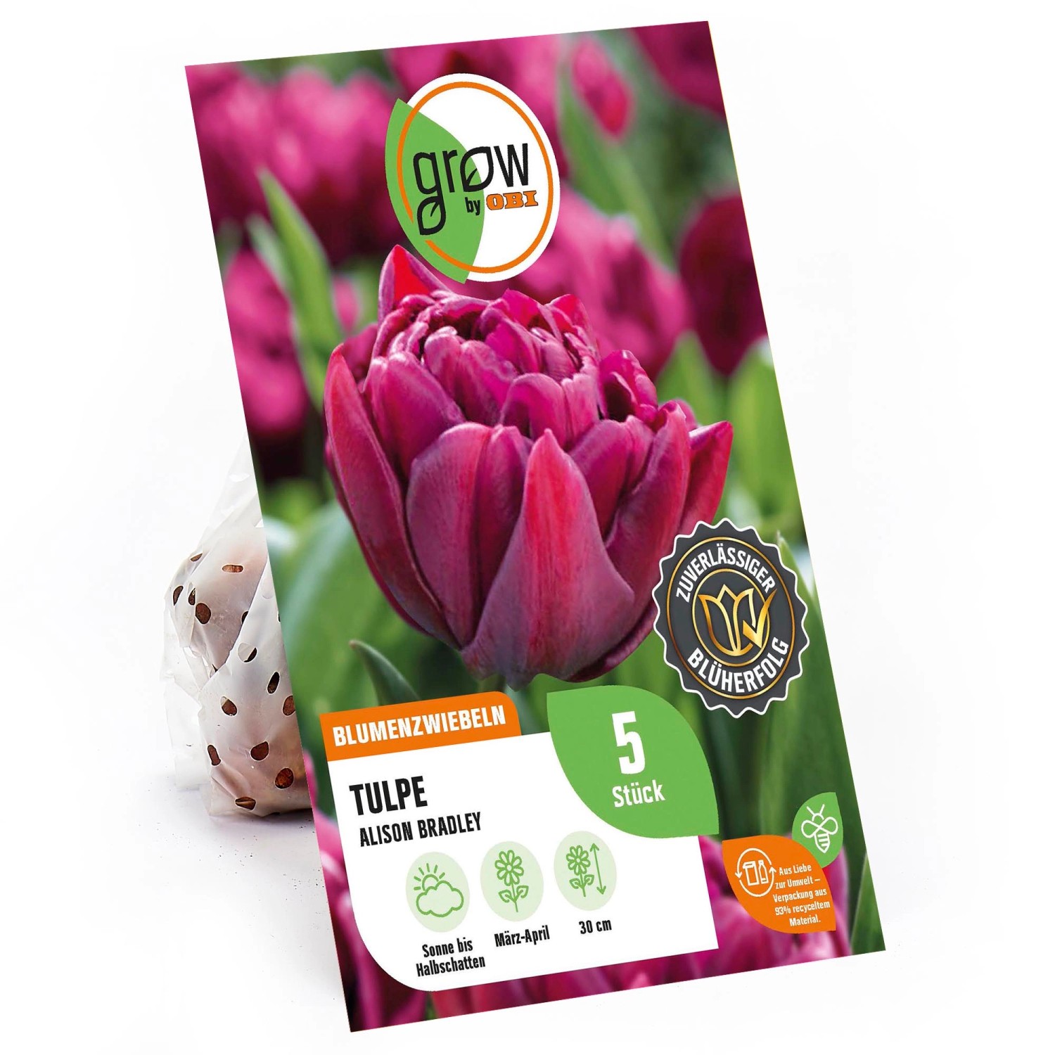 GROW by OBI Tulpe Alison Bradley Lila 5 St. Tulipa double early Alison Brad günstig online kaufen