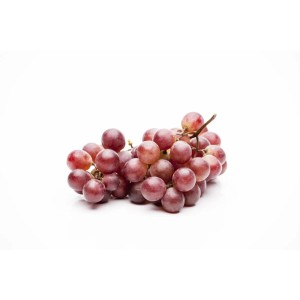 Frische, rote, kernlose Trauben der Kletterpflanze Vitis Vinifera Vanessa auf hellem Grund.