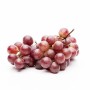 Frische, rote, kernlose Trauben der Kletterpflanze Vitis Vinifera Vanessa auf hellem Grund.