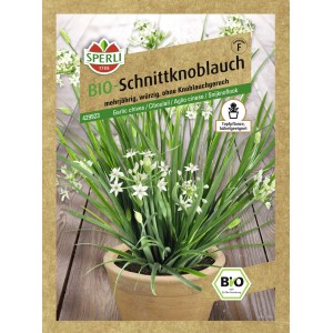 Bio Schnittknoblauch Samen von Sperli im Topf mit weißen Blüten.