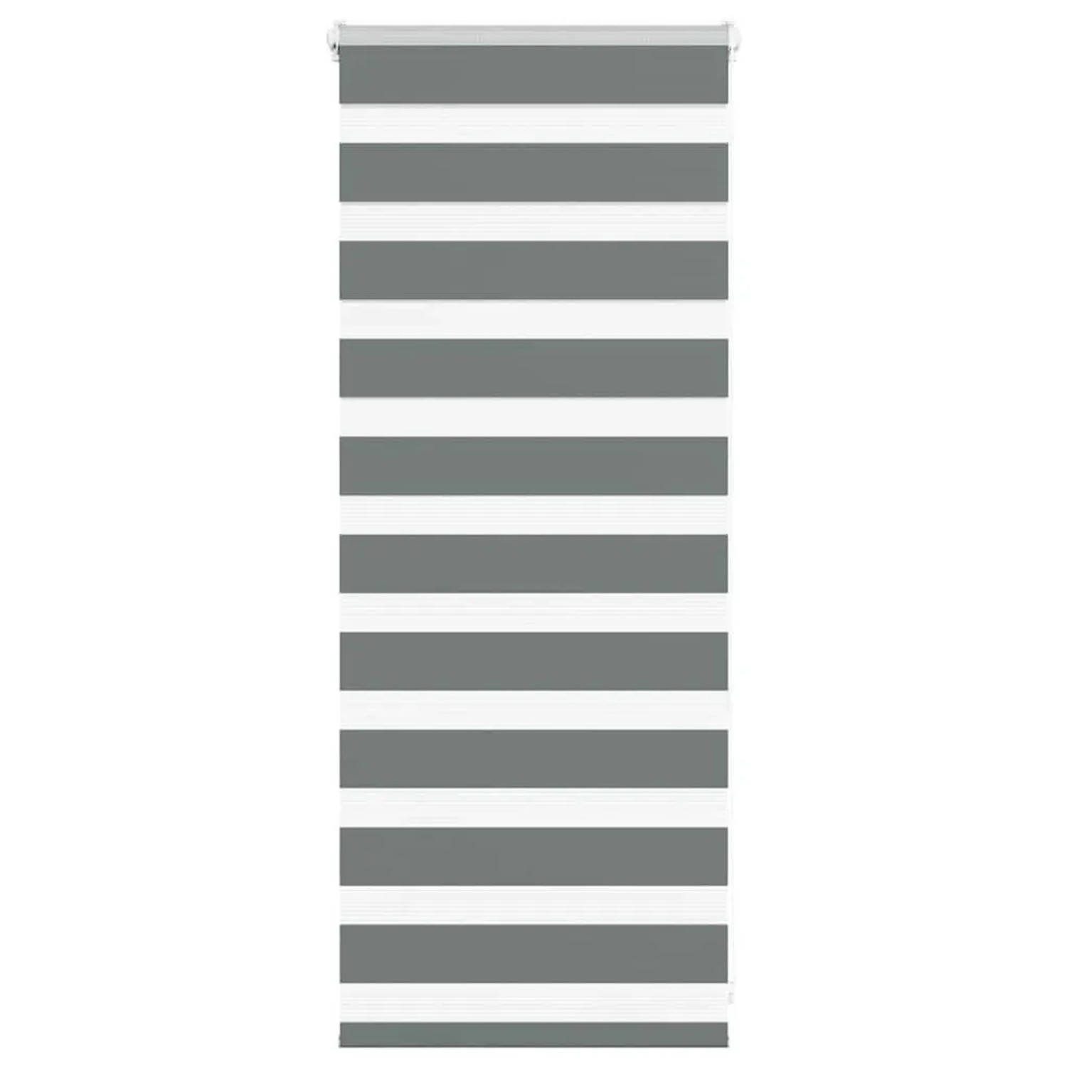 vidaXL Doppelrollo Dunkelgrau 60x100 cm Stoffbreite 55,9 cm Polyester 4014097