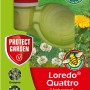 Protect Garden Loredo Quattro Rasenunkrautfrei, 100ml Flasche mit Dosierhilfe. Gegen Unkraut im Rasen.
