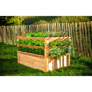 Westmann Hochbeet Premium XXL aus Lärchenholz, bepflanzt mit Salat, Gemüse und Kräutern im Garten.