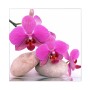 Motiv Orchidee auf weißem, magnetischem Glas-Schlüsselkasten 30x30cm mit 50 Haken.
