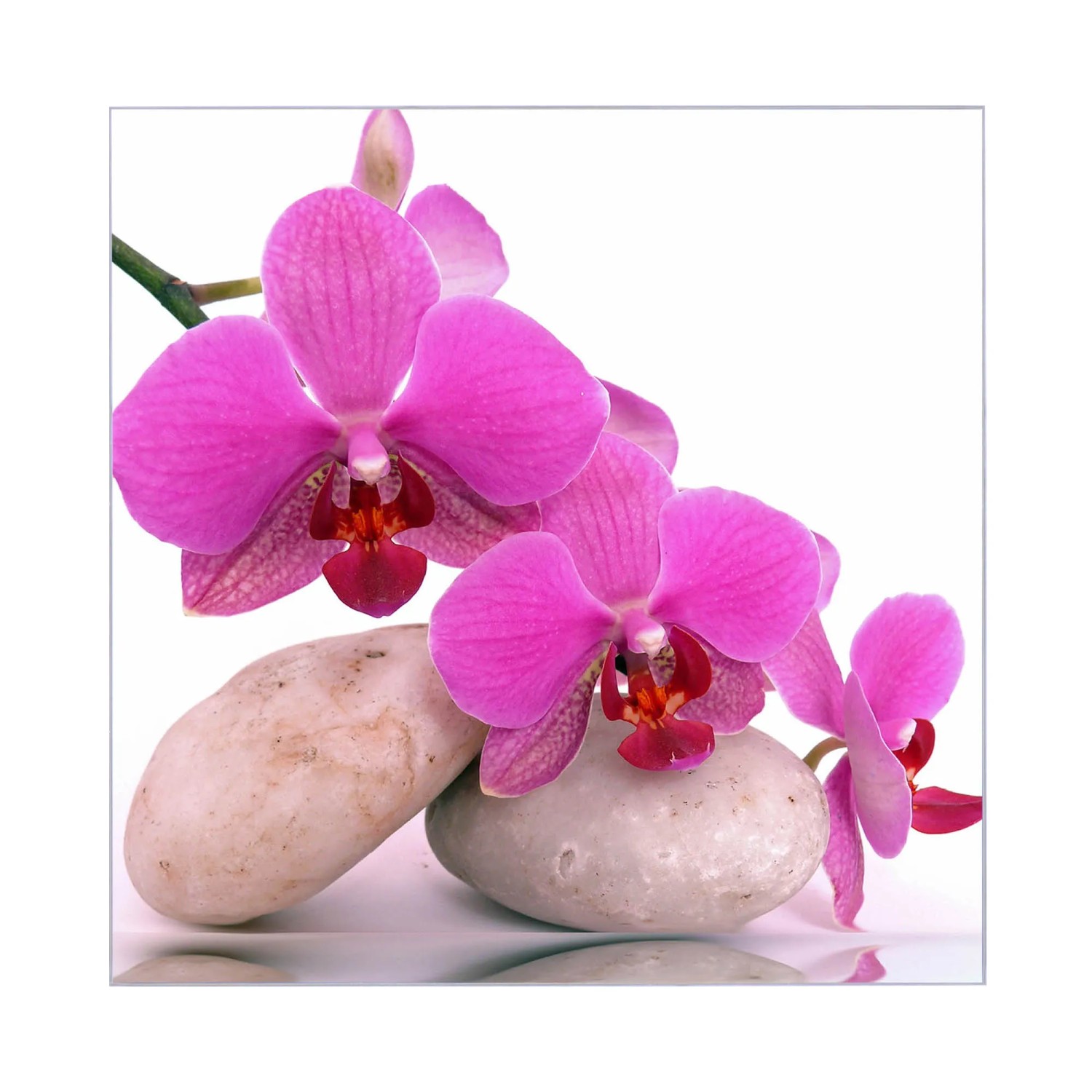 Motiv Orchidee auf weißem, magnetischem Glas-Schlüsselkasten 30x30cm mit 50 Haken.