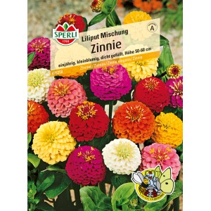 Samenpackung Sperli Zinnien Liliput Mischung mit mehrfarbigen Zinnienblüten.