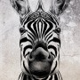 Detailaufnahme: Erismann Digitaltapete Zooom Cool Zebra auf Betonwand, schwarz-weiß.