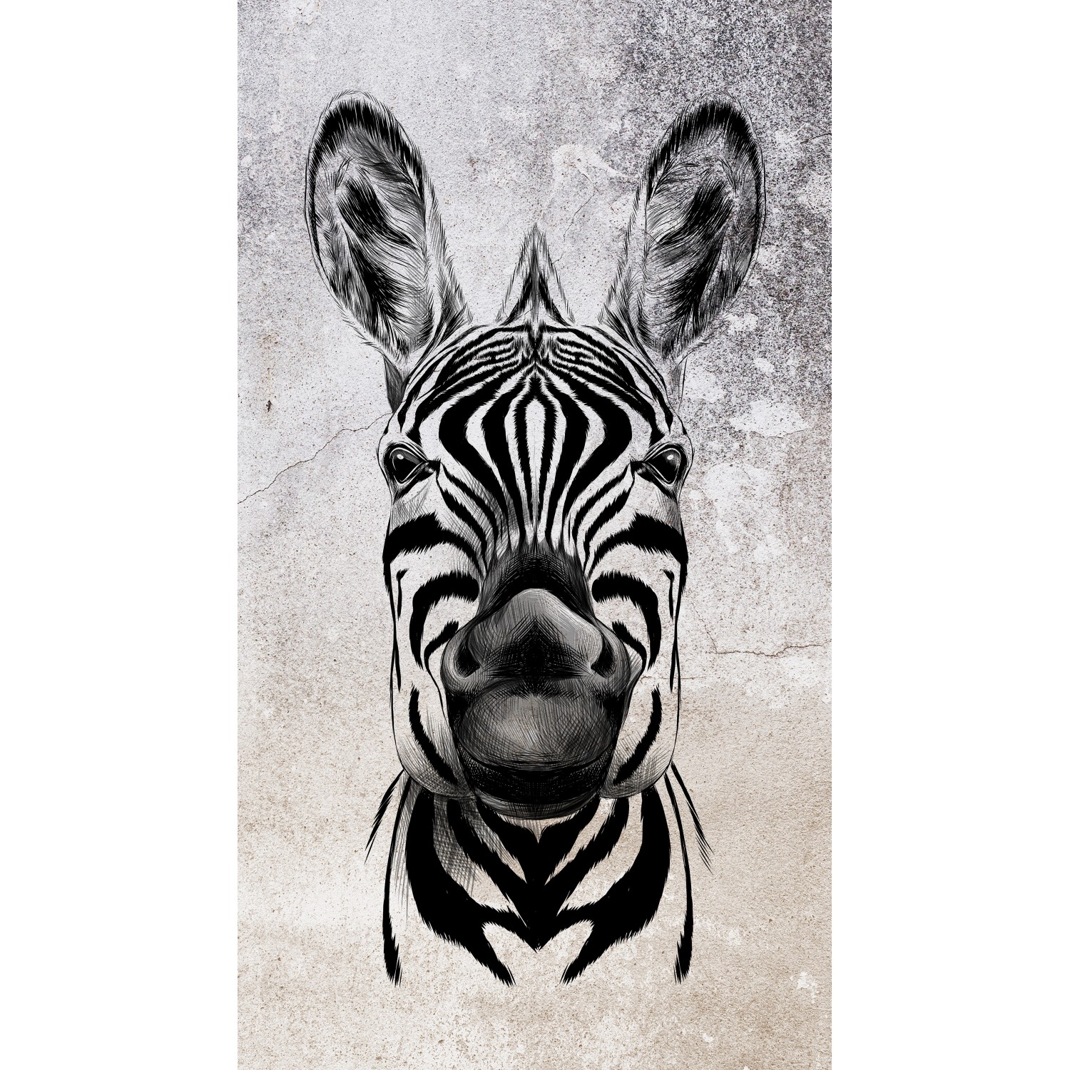 Erismann Digitaltapete Zooom Cool Zebra 270 cm x 150 cm