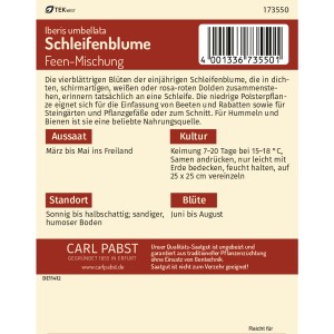 Pabst Schleifenblume Feen-Mischung Saatgut Packung mit Infos zu Aussaat, Kultur, Standort und Blüte.