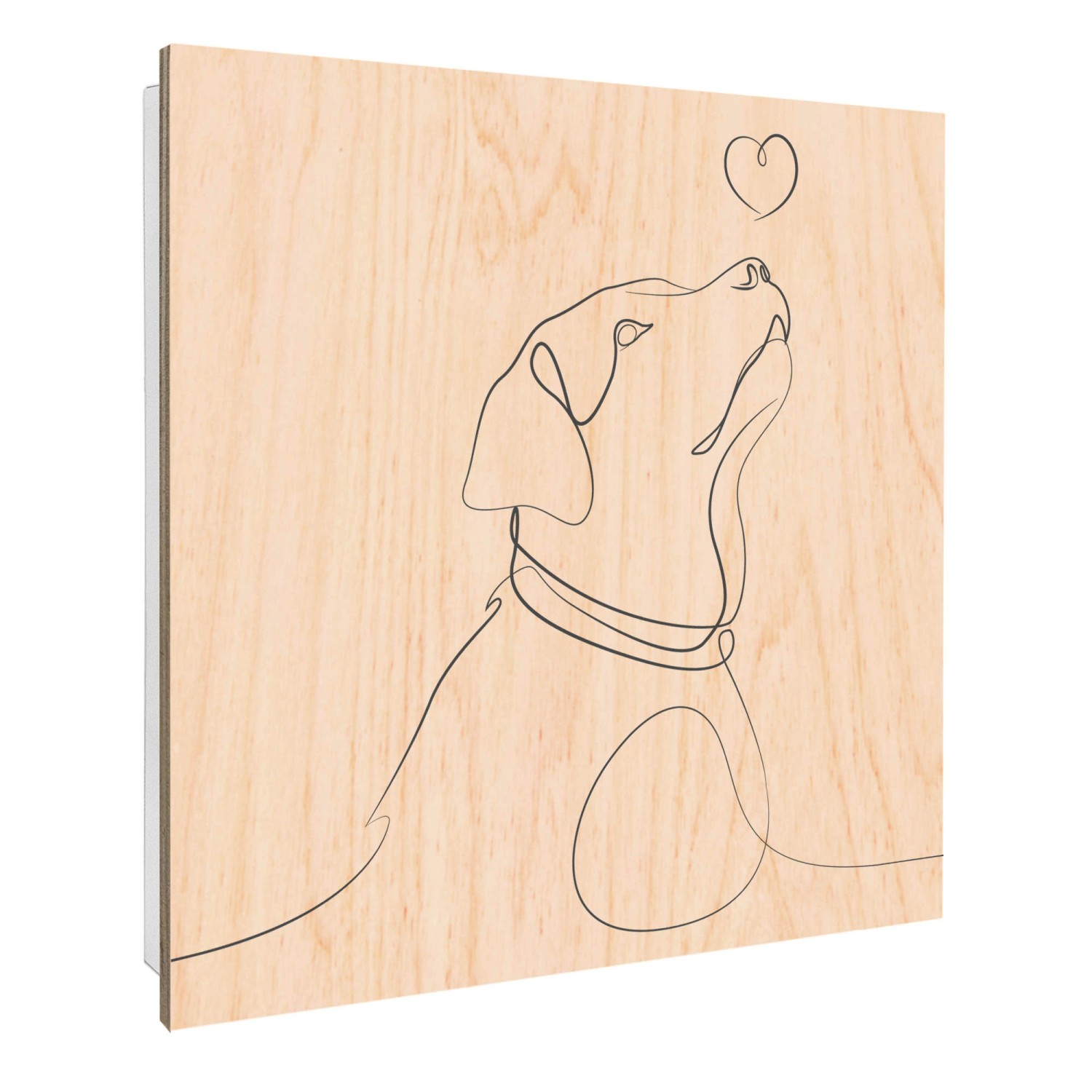 Banjado Schlüsselkasten mit Holzfront 30x30cm Weiß Scharnier Links 50 Haken günstig online kaufen