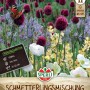 Sperli Blumenzwiebel Frühlingsgarten Schmetterlingsmischung mit Anemonen, Allium, Camassia und Ixia.