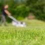 PremiumRollrasen je m² Bestellmenge 4049 m² kaufen bei OBI