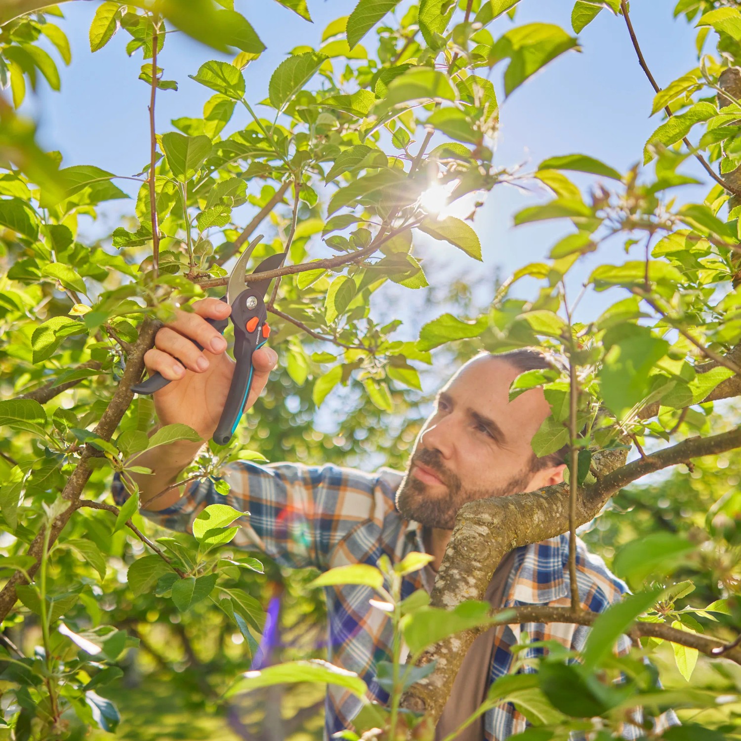 Mann schneidet mit Gardena Gartenschere PremiumCut Pro Flex einen Ast im Garten.