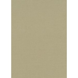Erismann Vliestapete La Terrasse Linea Tissu, dunkelgrüne Weboptik, 10,05x0,53m.