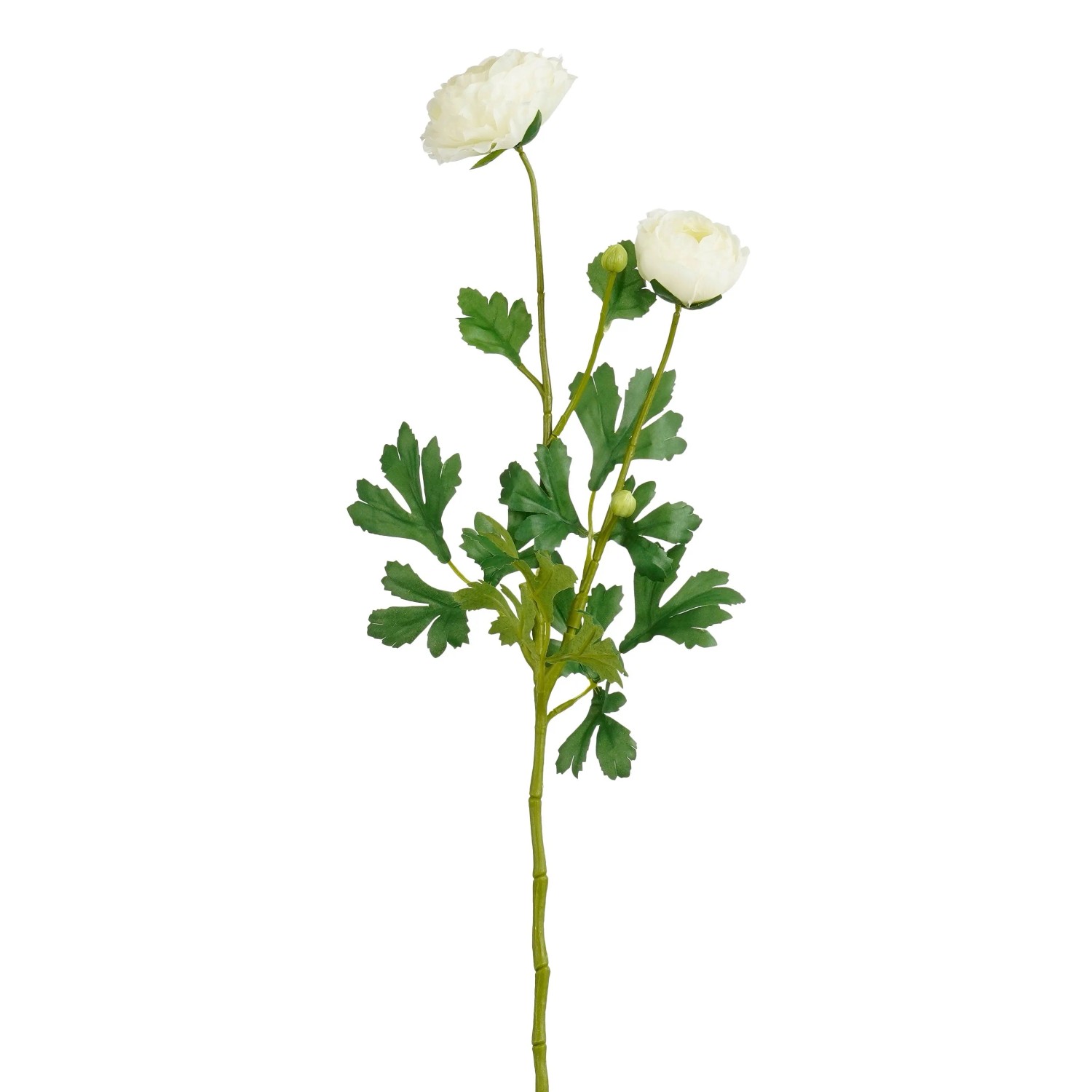 Mica Decorations Ranunculus Creme 70 cm