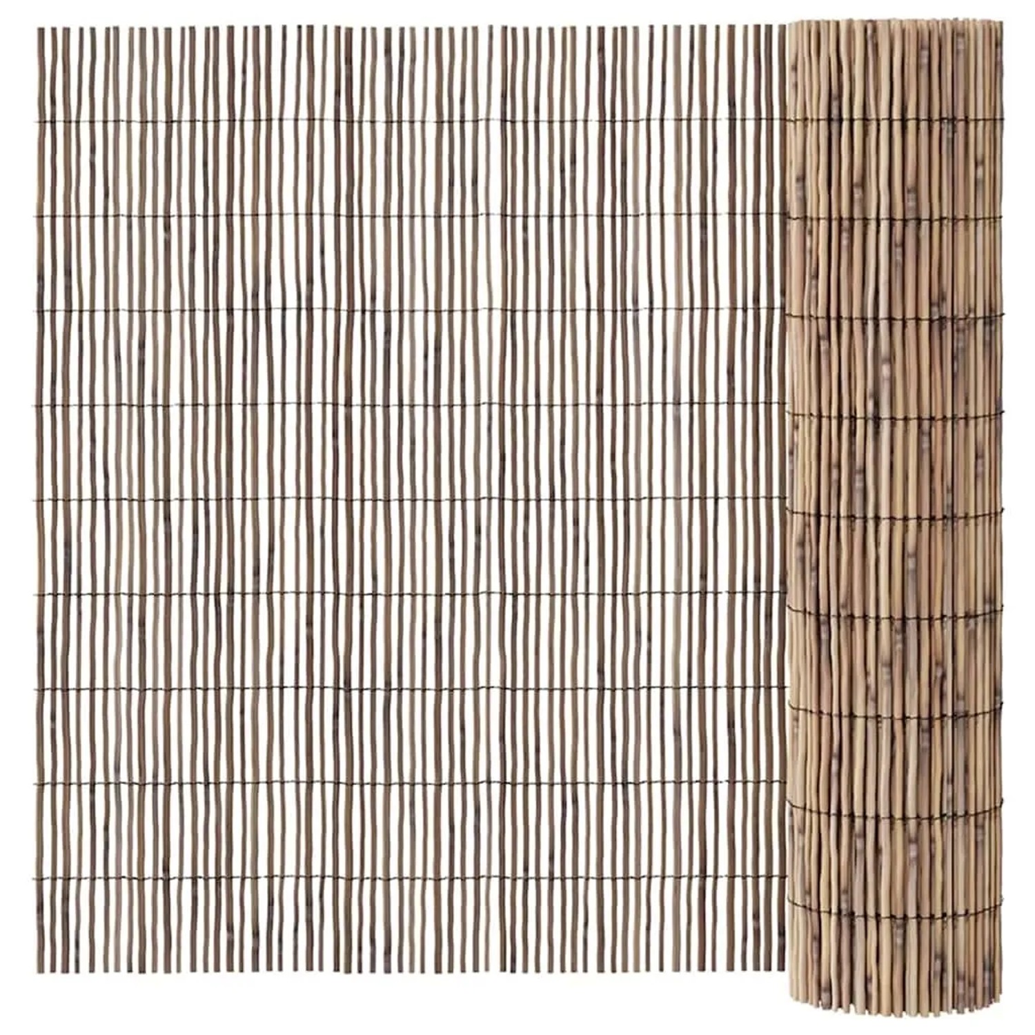 vidaXL Schilfrohrzaun Natur 600 x 160 cm Schilf 42001759