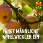Äpfel am Baum mit Compo BIO Apfelwickler Lockstoff zur Schädlingsbekämpfung.