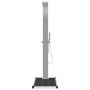 vidaXL Gartendusche mit Bodenelement WPC Edelstahl 3051290_3