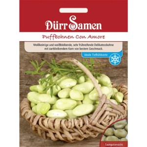 Dürr Samen Puffbohnen Dreifach Weiße Saatgut