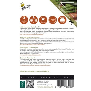 Buzzy Patio Veggies Zucchini Patio Star F1 SamenCa. 6 SamenGeeignet für Gemüsegärten auf Balkonen