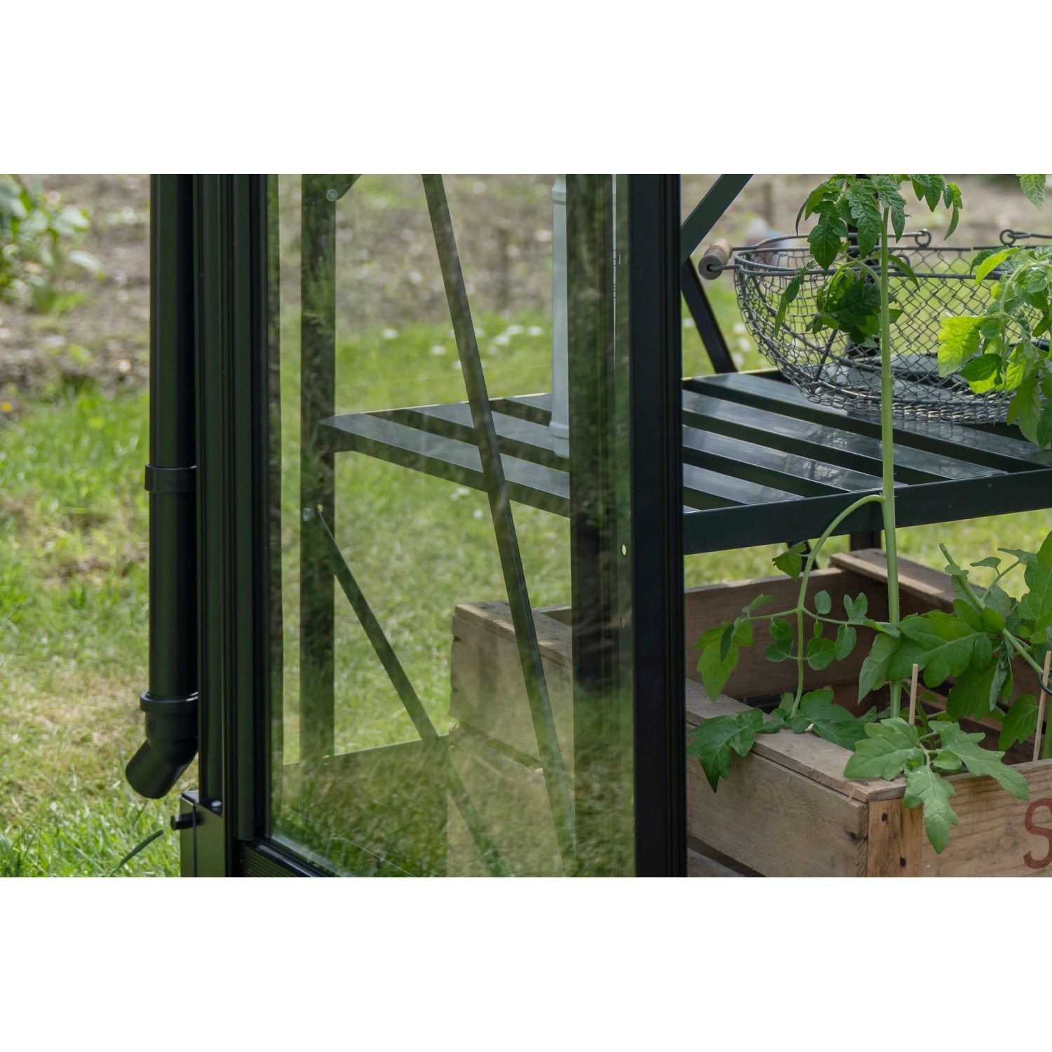 Halls Planthouse-Fallrohrsatz Icon Ø 7 cm x 187 cm Schwarz